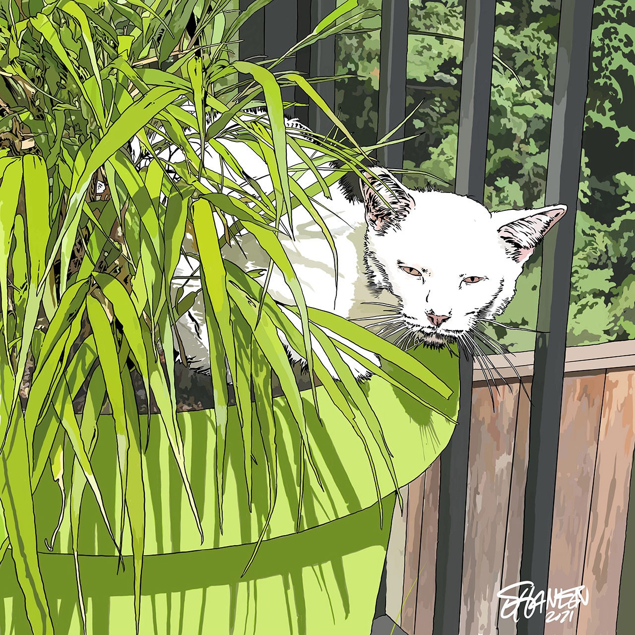 cat in the bushes
